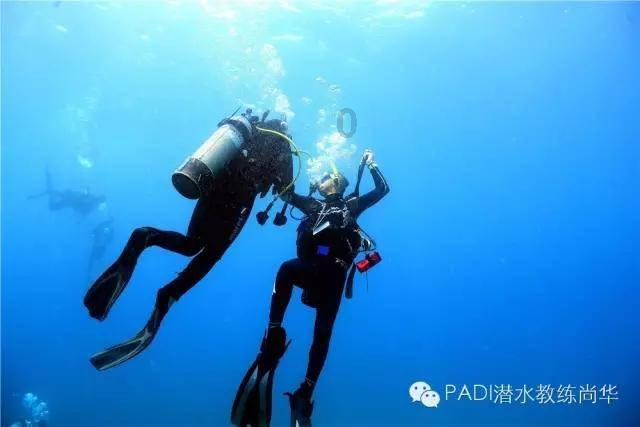 奇点灰烬